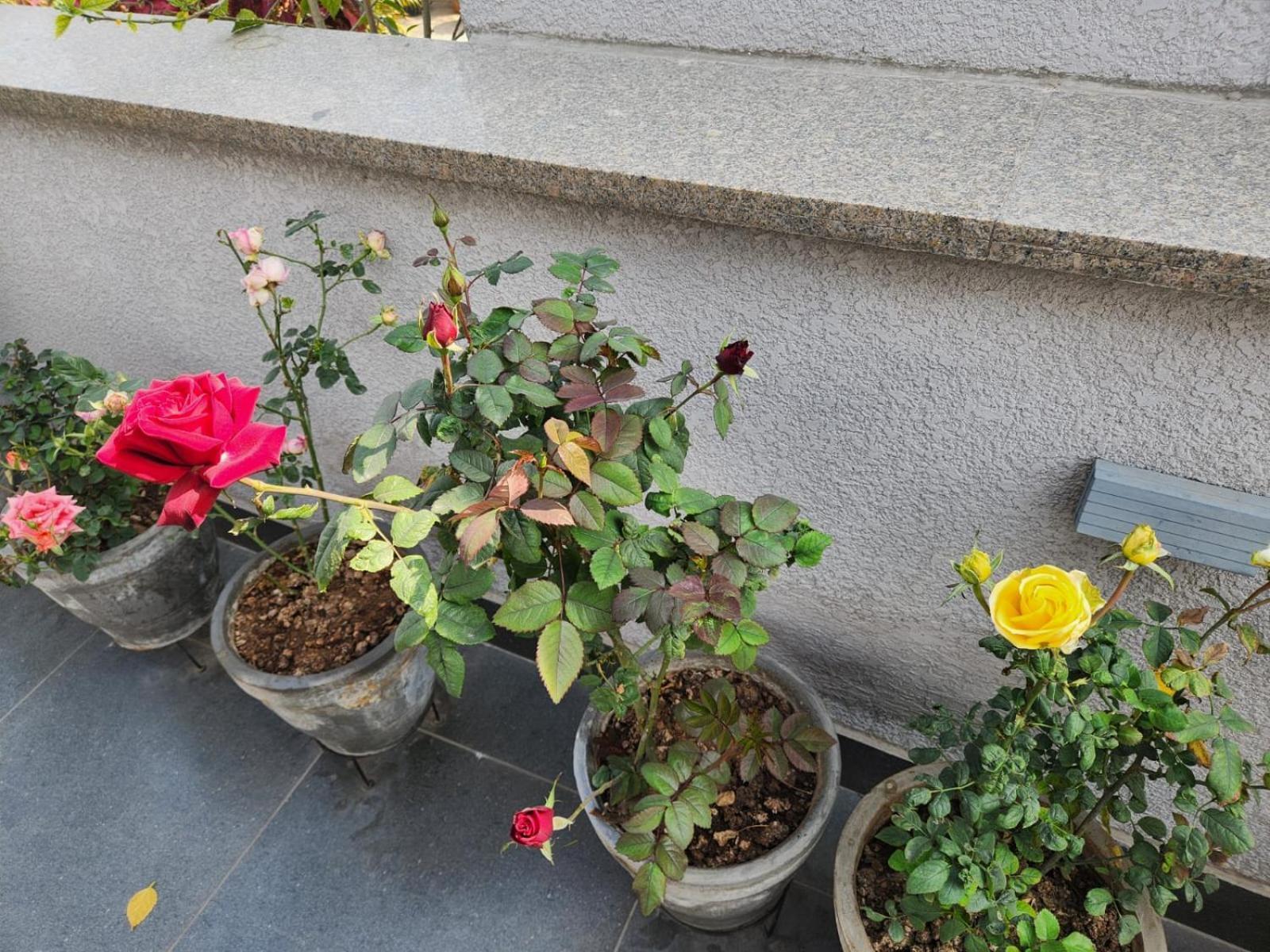 Apartment South Delhi Monument View By Maple Key - 3bhk & Terrace New Delhi