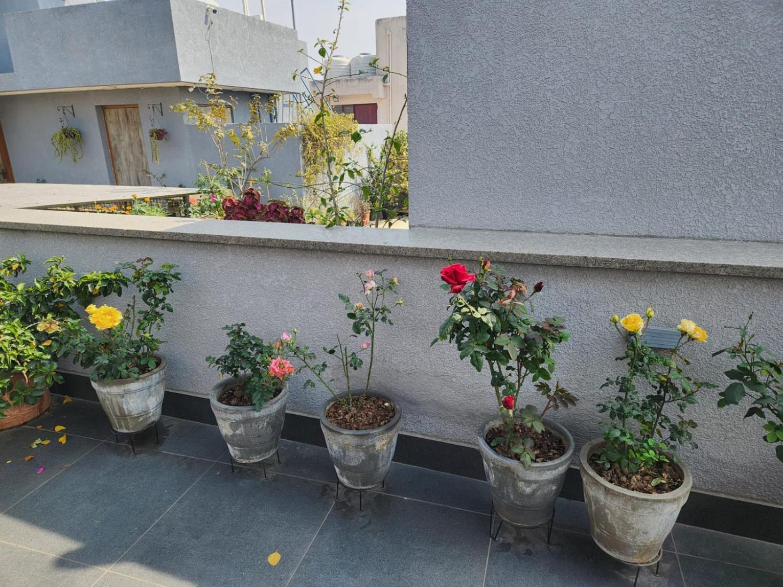 Apartment South Delhi Monument View By Maple Key - 3bhk & Terrace *