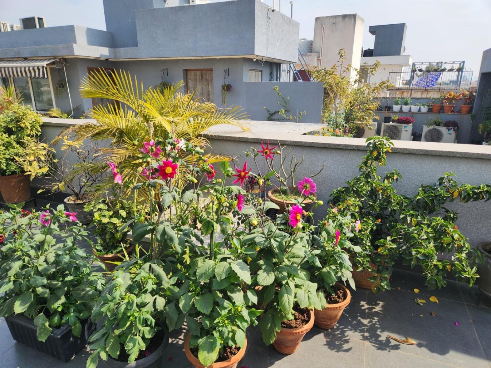 South Delhi Monument View By Maple Key - 3bhk & Terrace Apartment