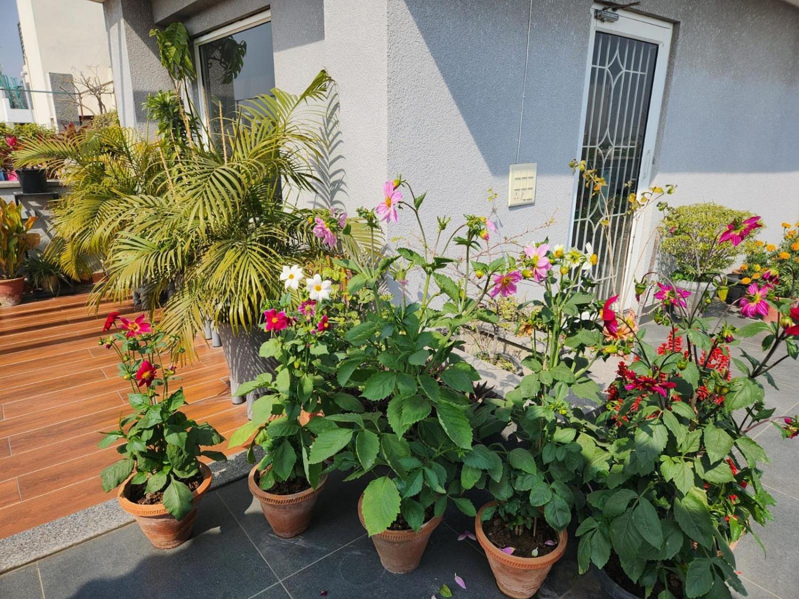 Apartment South Delhi Monument View By Maple Key - 3bhk & Terrace *